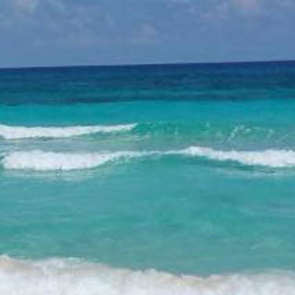 Meet your Posher, Autumn